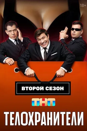 Постер сериала Телохранители